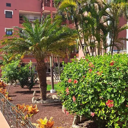 Casa Pascale Apartamento Palm-mar