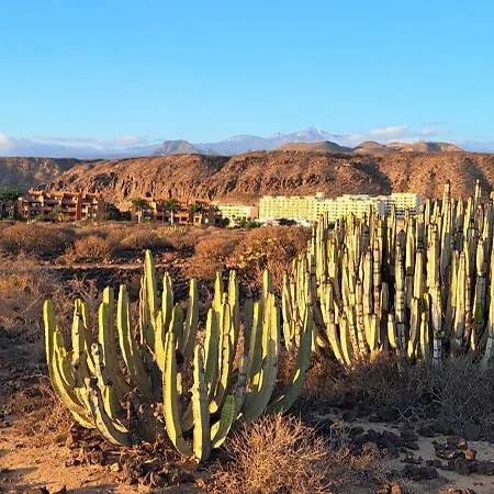 Casa Pascale Apartamento *